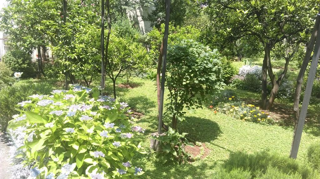 Apartment Ruzica Krstic Херцег-Нови Экстерьер фото